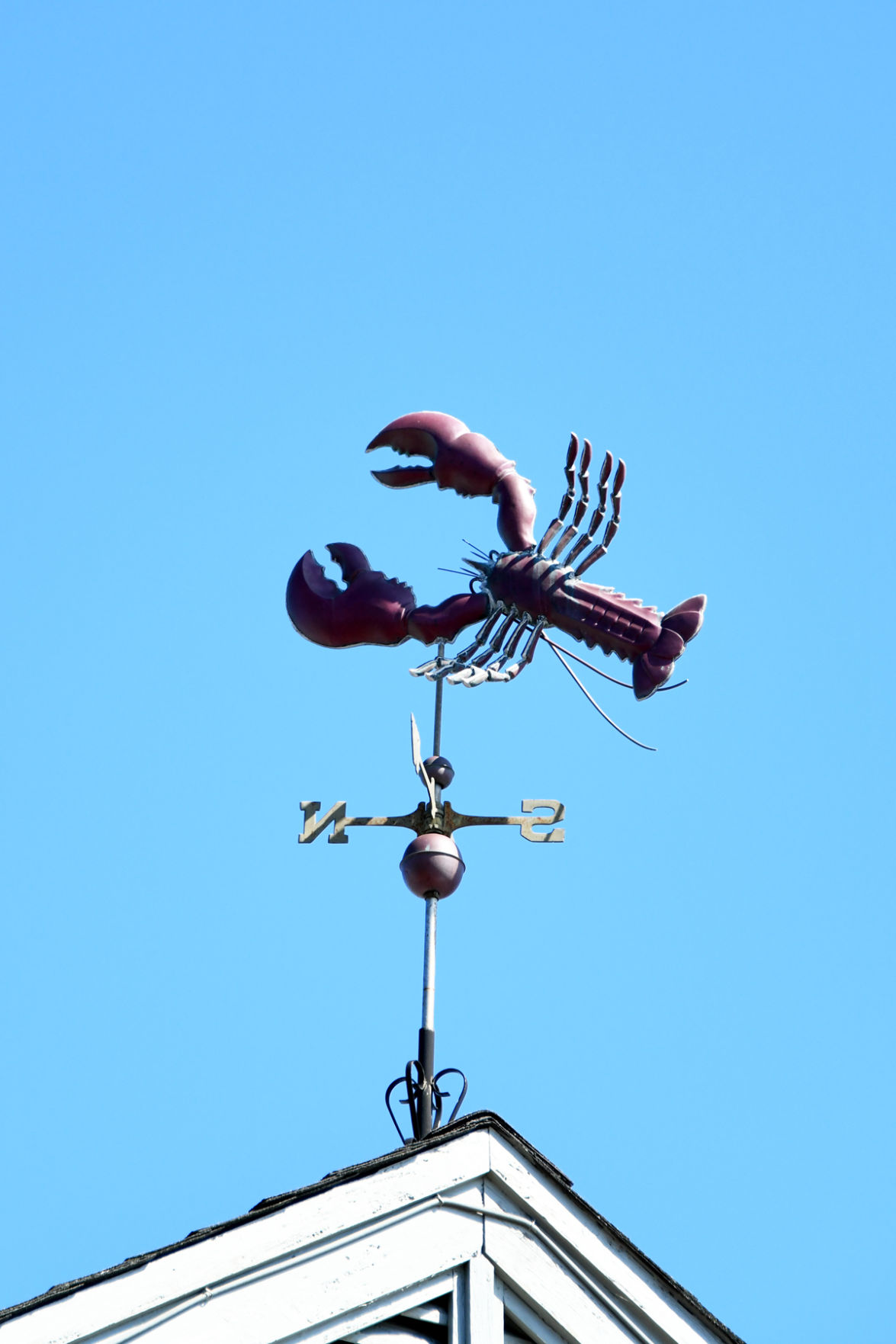 224 Edgartown had some great seafood restaurants and this unique lobster weather vane..jpg